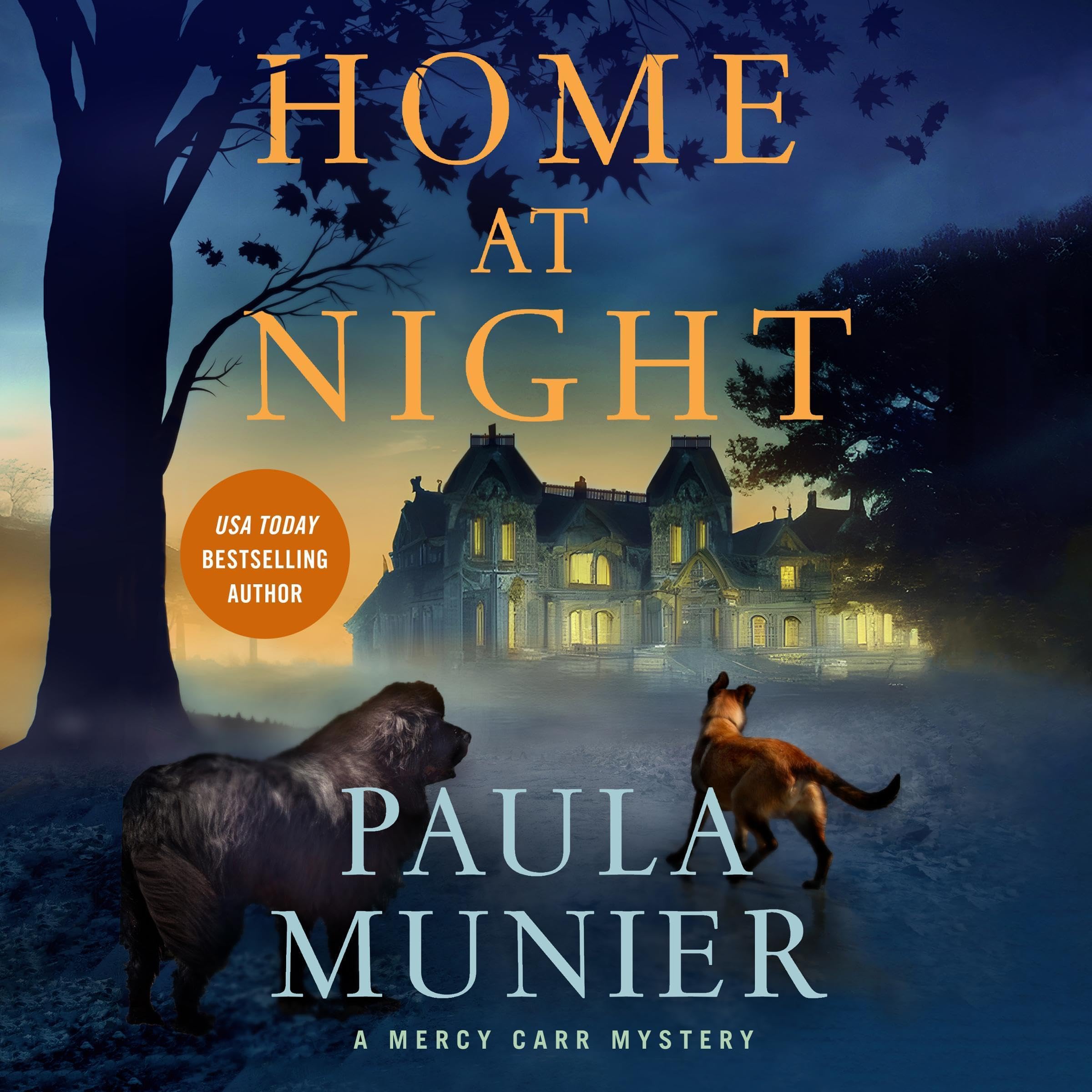 Cover art for Home at Night