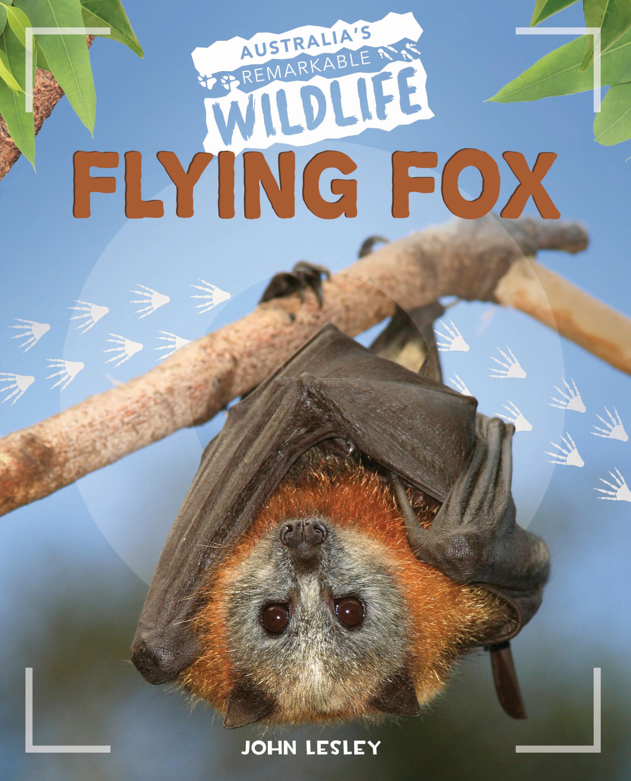 Flying Fox (Australia's Remarkable Wildlife)