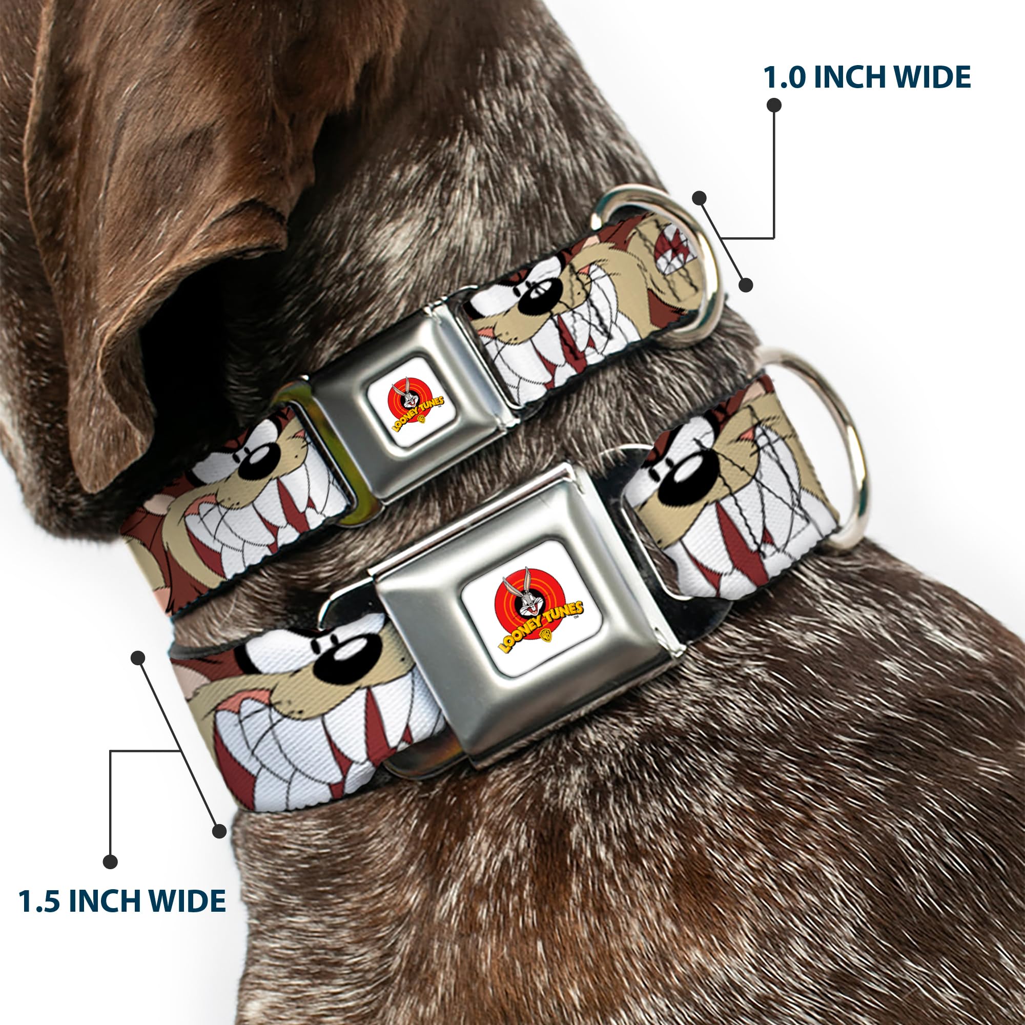 Buckle-Down Looney Tunes Hundehalsband – 22,9–38,1 Cm Verstellbar, Nylon Mit Sicherheitsgurt-Schnalle, USA-made