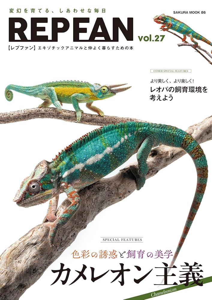 【yua☆】サナ プレオーダー特典9枚セット CHAMELEON えっくす☆きゅーと『 Sweet Memory♥ コーディネイトドールset