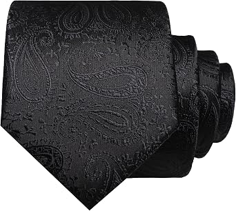 RBOCOTT Mens Paisley Tie for Business and Wedding