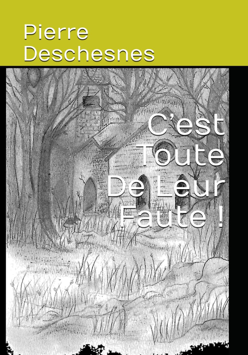 C’est Toute De Leur Faute !
