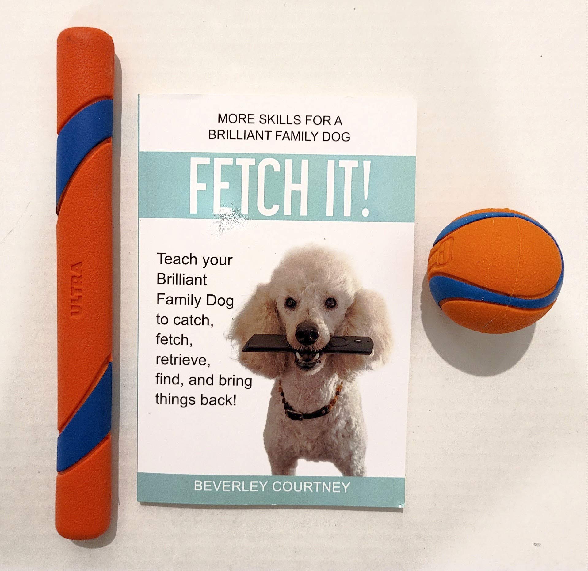 How Do You Teach A Dog To Fetch A Ball And Bring It Back