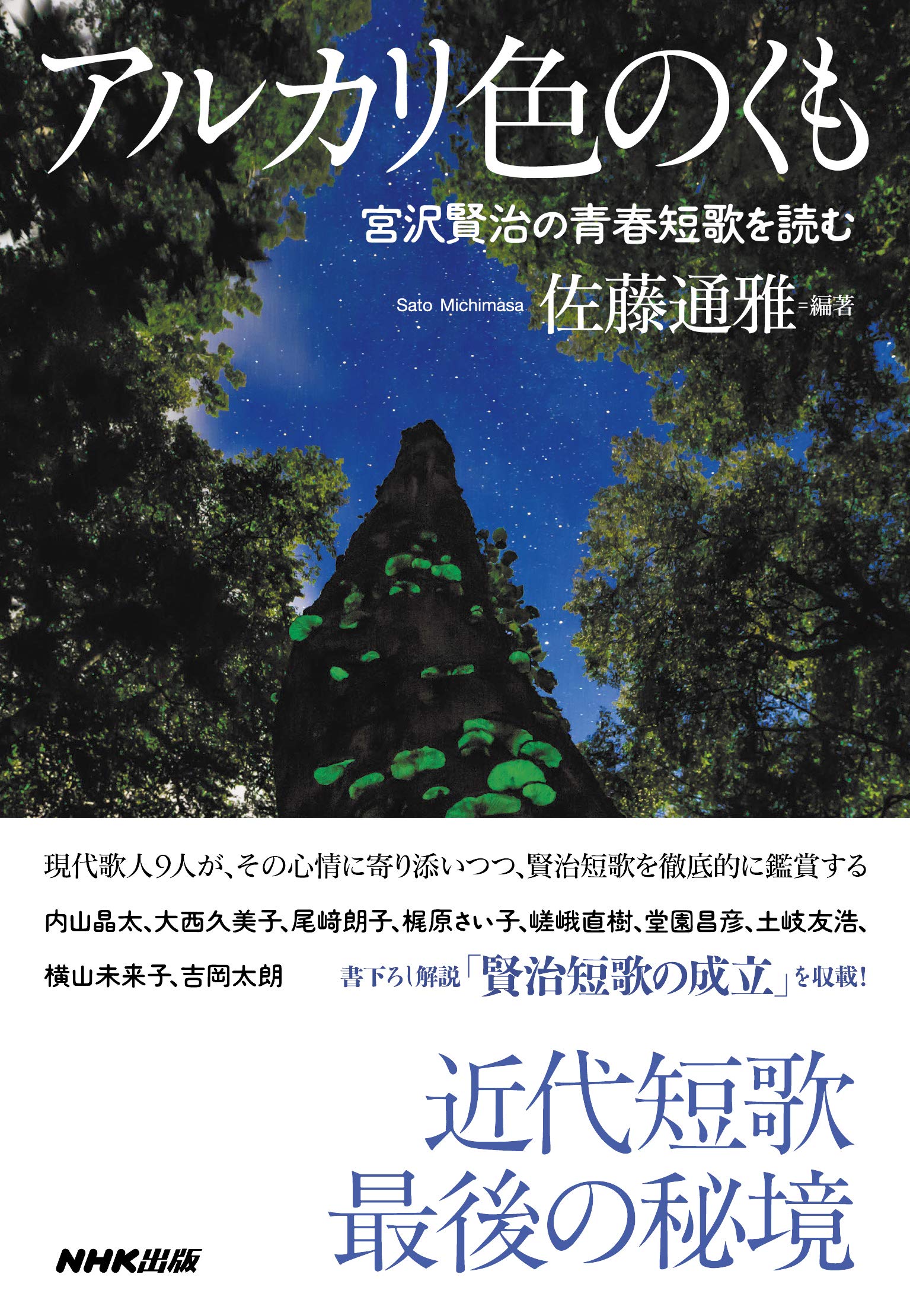 佐藤通雅『宮沢賢治 東北砕石工場技師論』洋々社　２０００年 Amazon.co.jp: 佐藤 通雅: 本、バイオグラフィー、最新アップデート