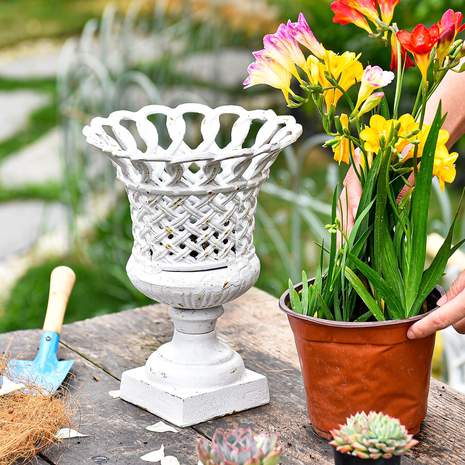 Amazon.com : Sungmor Heavy Duty Cast Iron Urn Planter, Beautiful