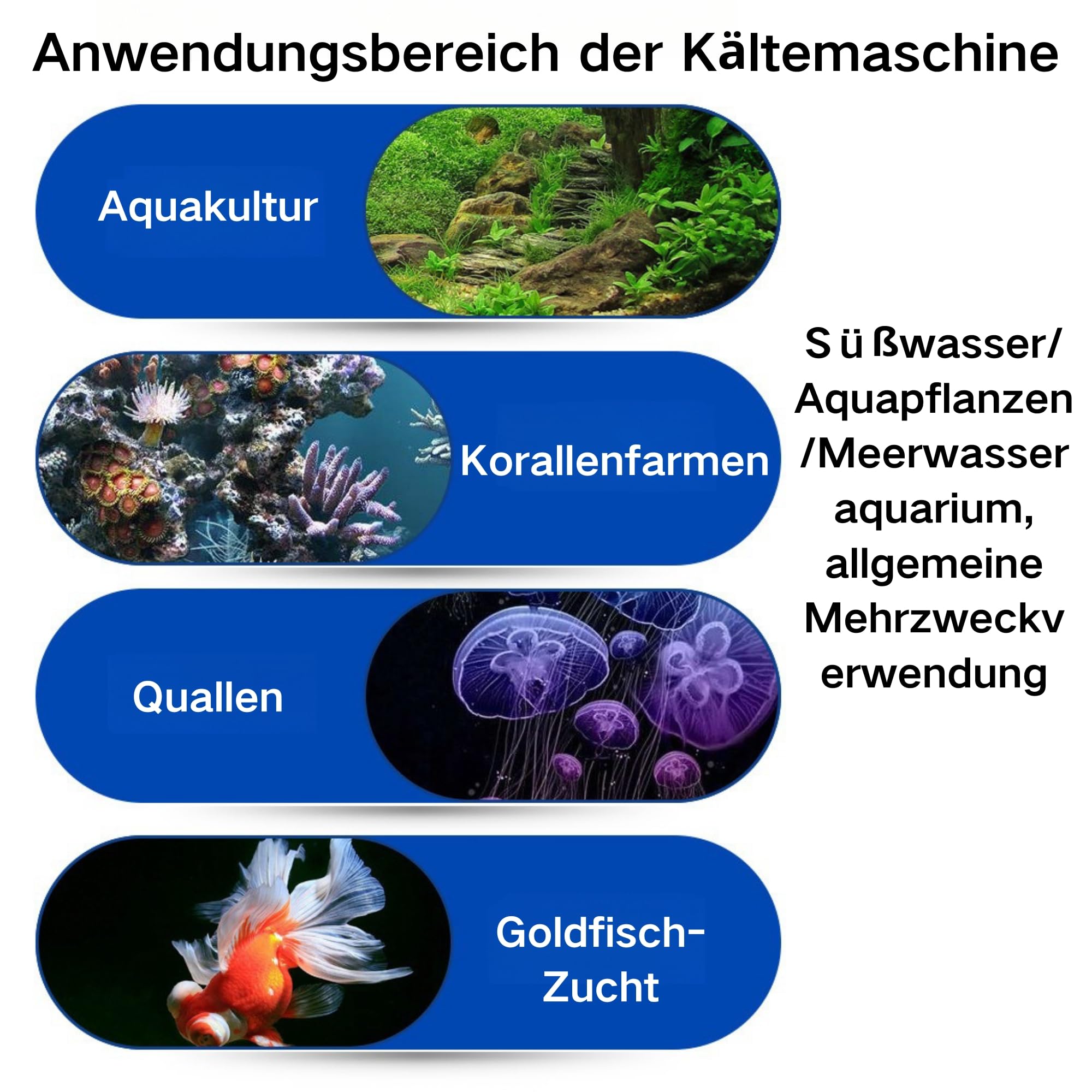 Refrigeratore D'acqua per Acquario, Funzionamento Silenzioso 2 in 1, Regolazione Rapida del Raffreddamento, del Raffreddamento e del Riscaldamento per Acquario ≤20 Litri con