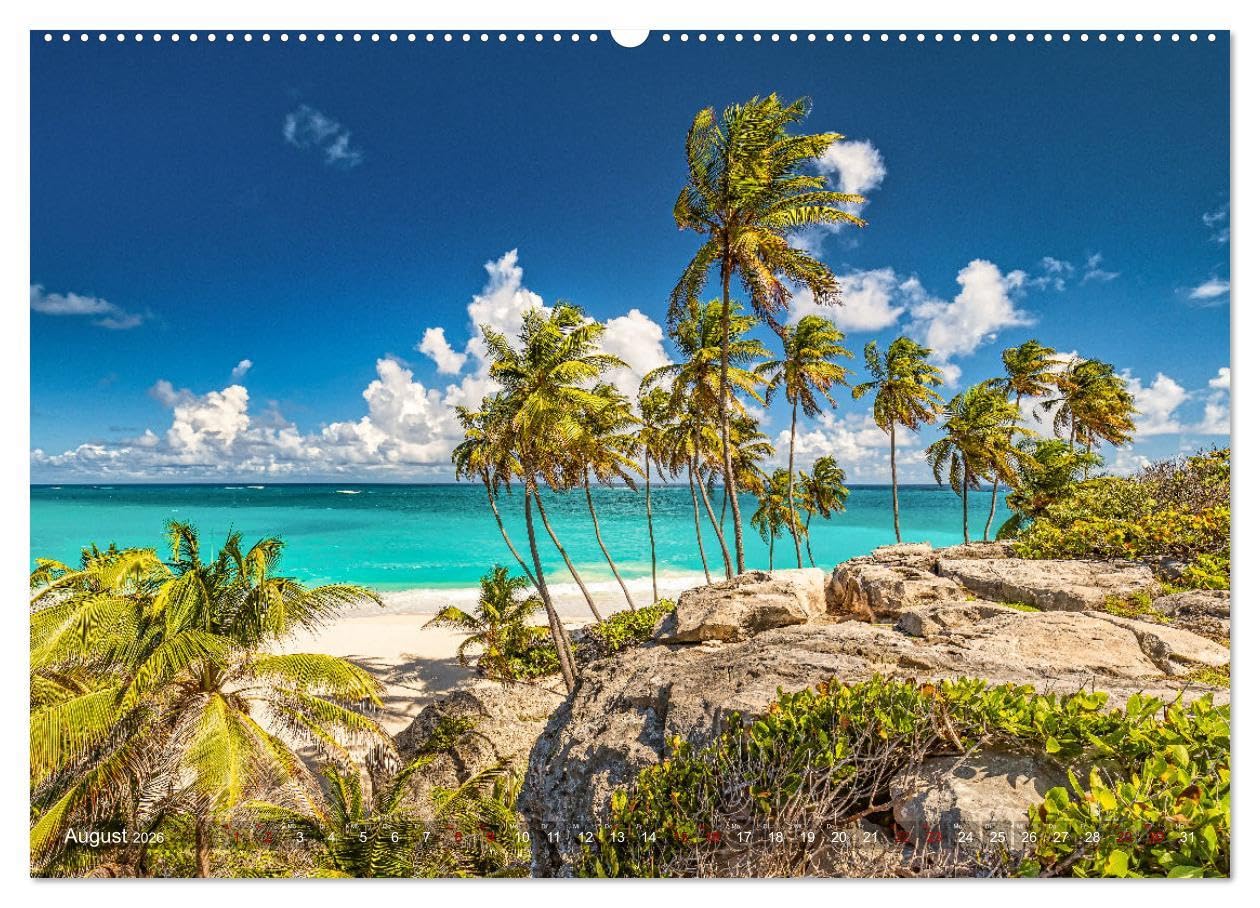 Karibik - Traumstrände (Wandkalender 2026 DIN A2 quer), CALVENDO Monatskalender: Sonne, Meer und karibische Traumstrände (CALVENDO Natur)