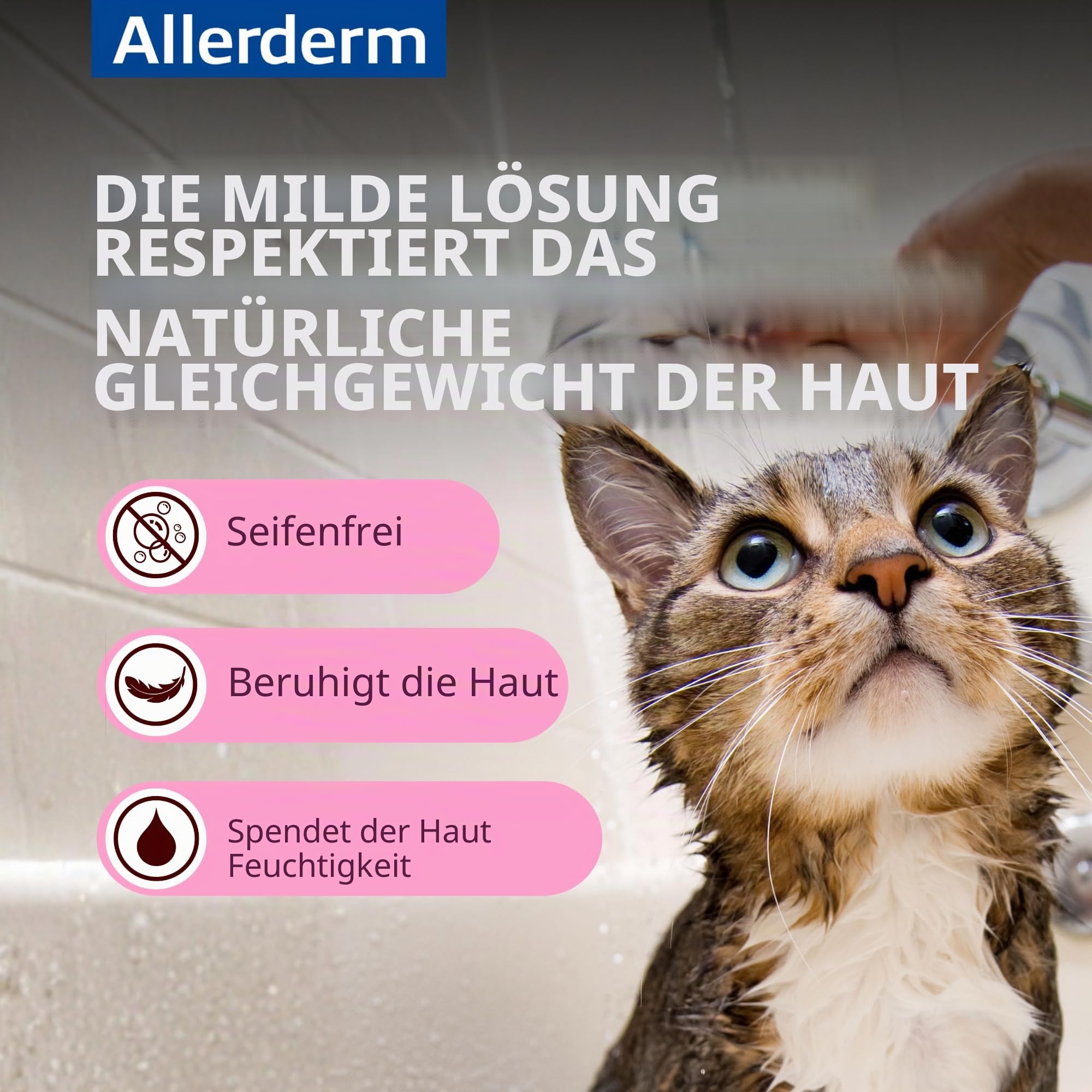 Virbac Allergy Sis Shampoo 250 ml, Weiß