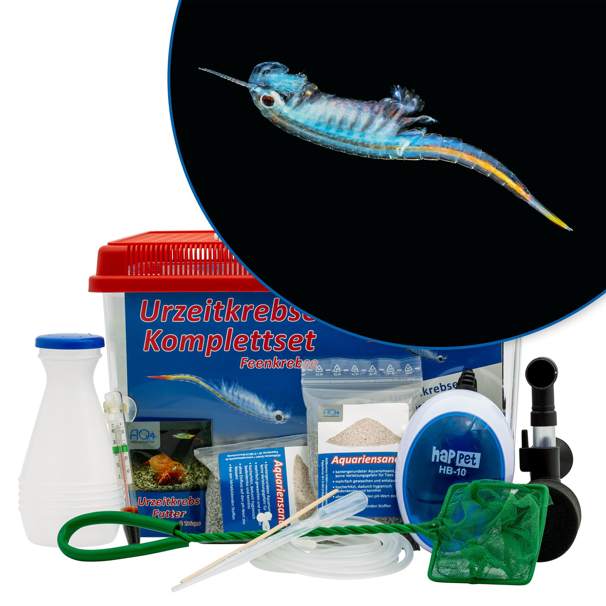 Feenkrebse Komplettset mit Urzeitkrebseiern: 6 l Aquarium, Filter, Luftpumpe, Zubehör, Zuchtansatz, Futter und Anleitung, Dendrocephalus brasiliensis