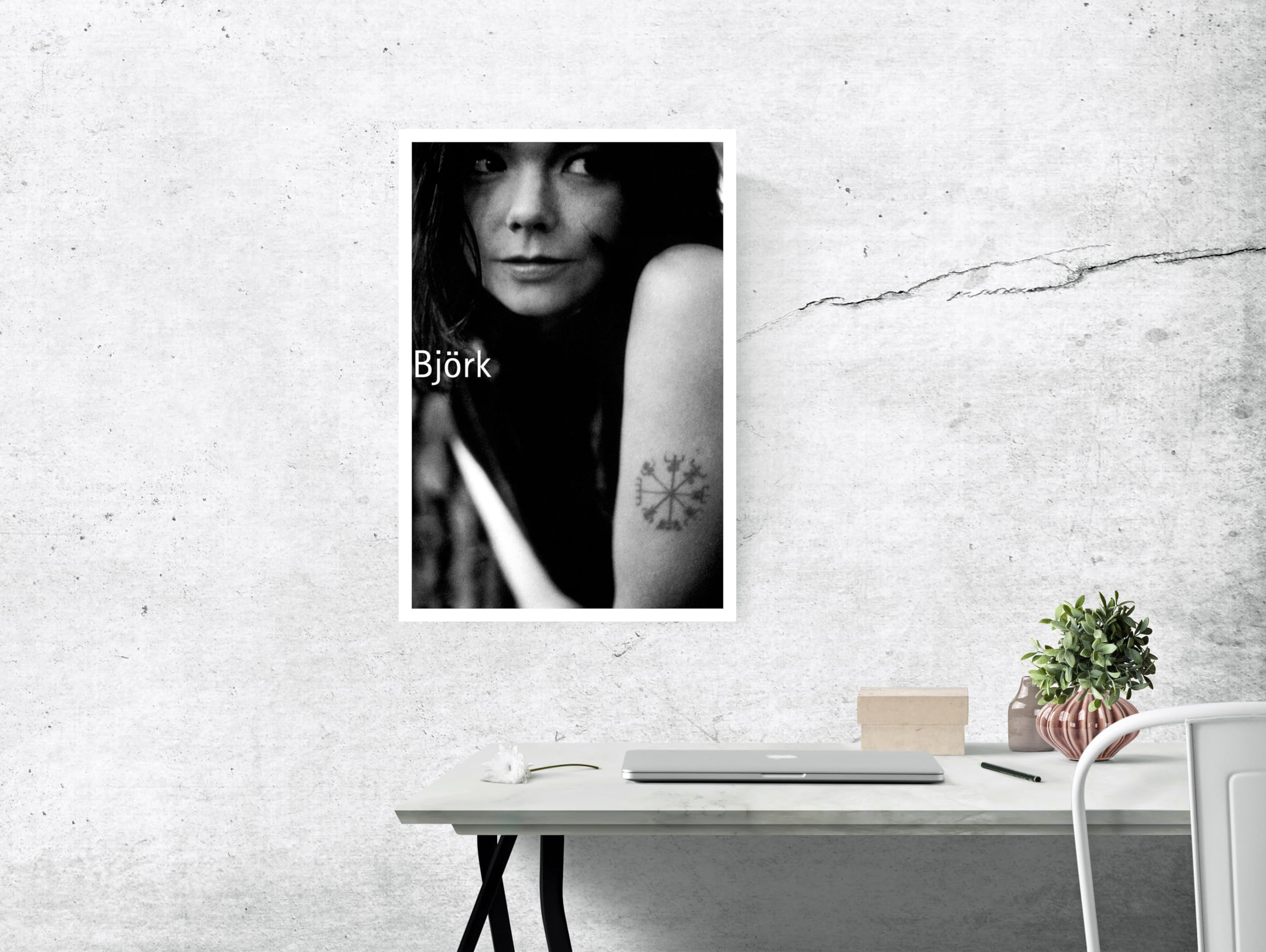 Amazon.com: Bjork Poster, Experimental Singer & Songwriter