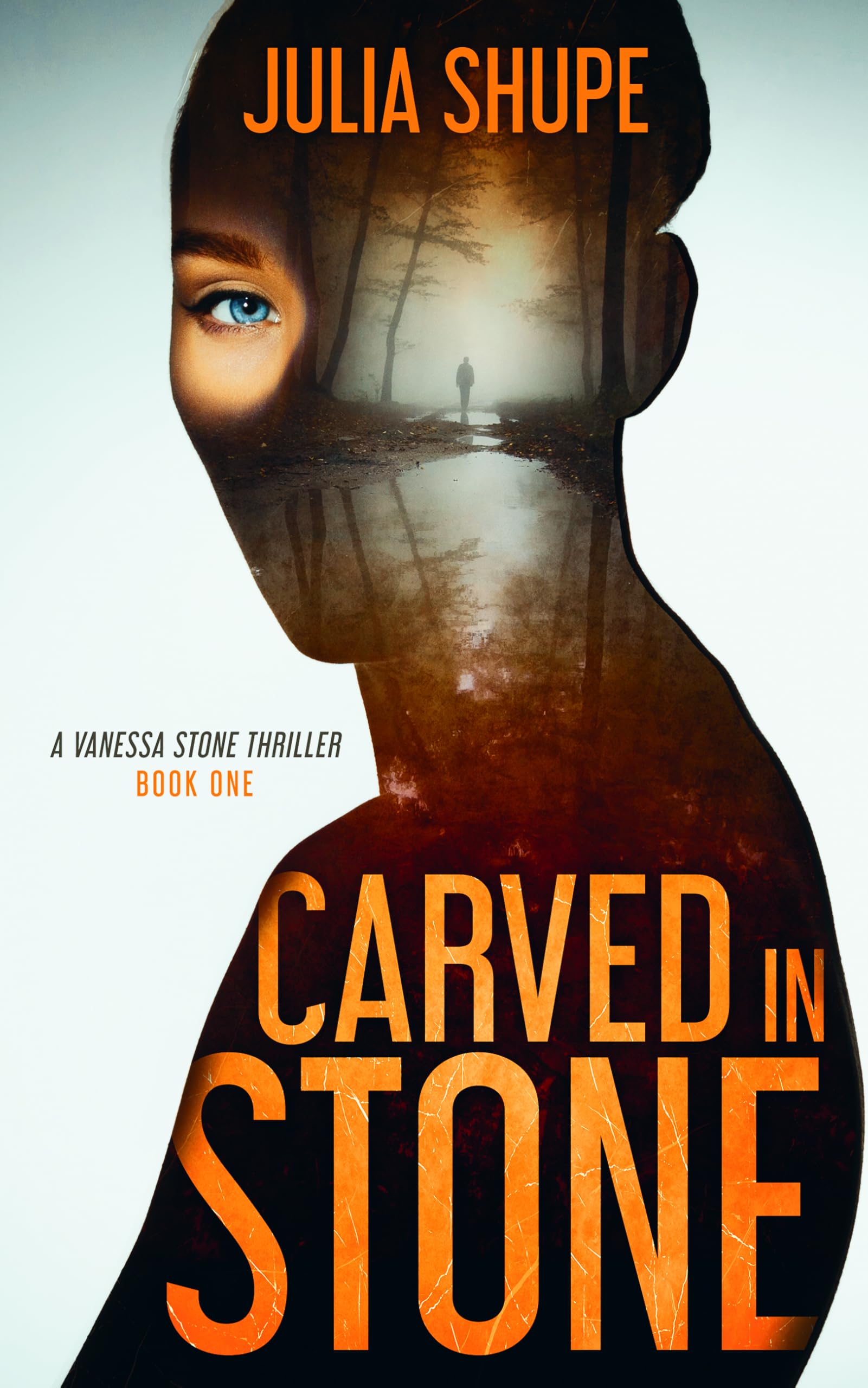 Carved in Stone (Vanessa Stone Series Book 1)
