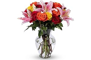 BENCHMARK BOUQUETS - Big Blooms (Glass Vase Included)