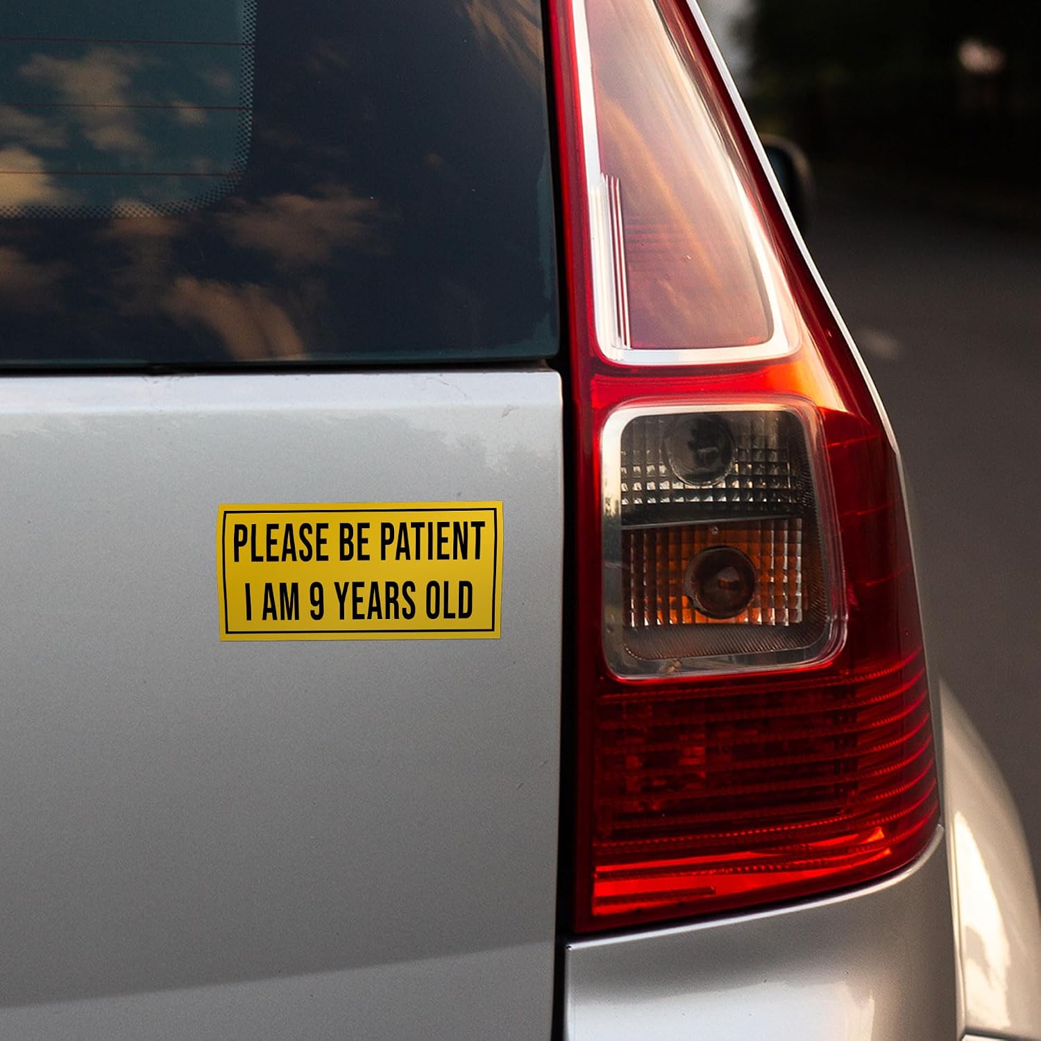 Please Be Patient I Am 9 Years Old Bumper Car Stickers, Vinyl Waterproof Car Decals Cute Stickers for Van, Truck, Funny Stickers for Adults, Size 7.5x3.75 inches