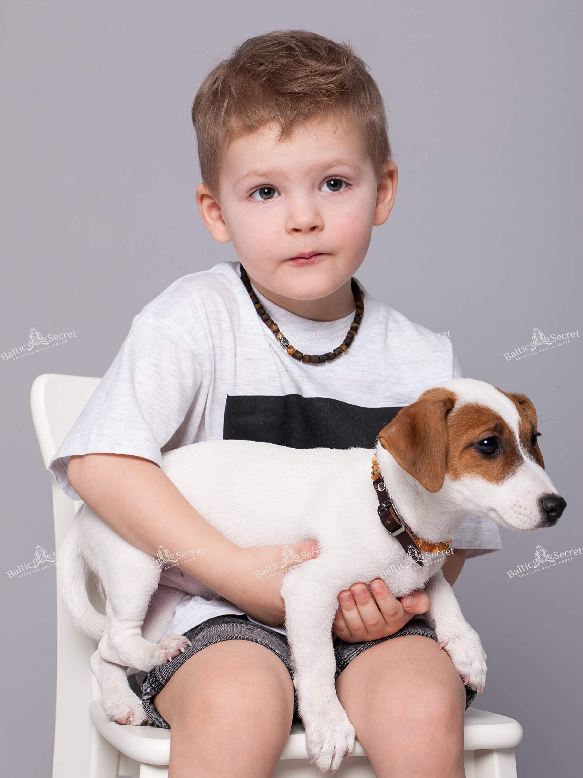 Collier d'ambre pour chien avec tubes en céramique EM - Microorganismes efficaces - Collier d'ambre pour chien - Ambre (45-50 cm)