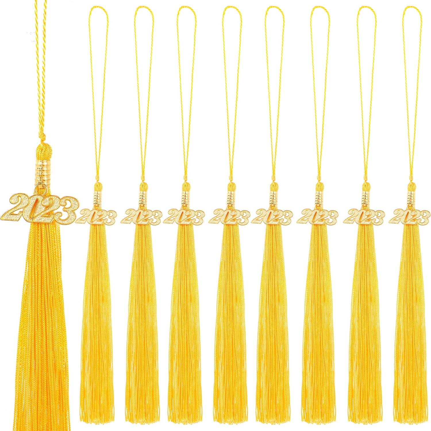 Zayvor 10 Pieces 2023 Grad Graduation Tassels Graduation Cap Tassel