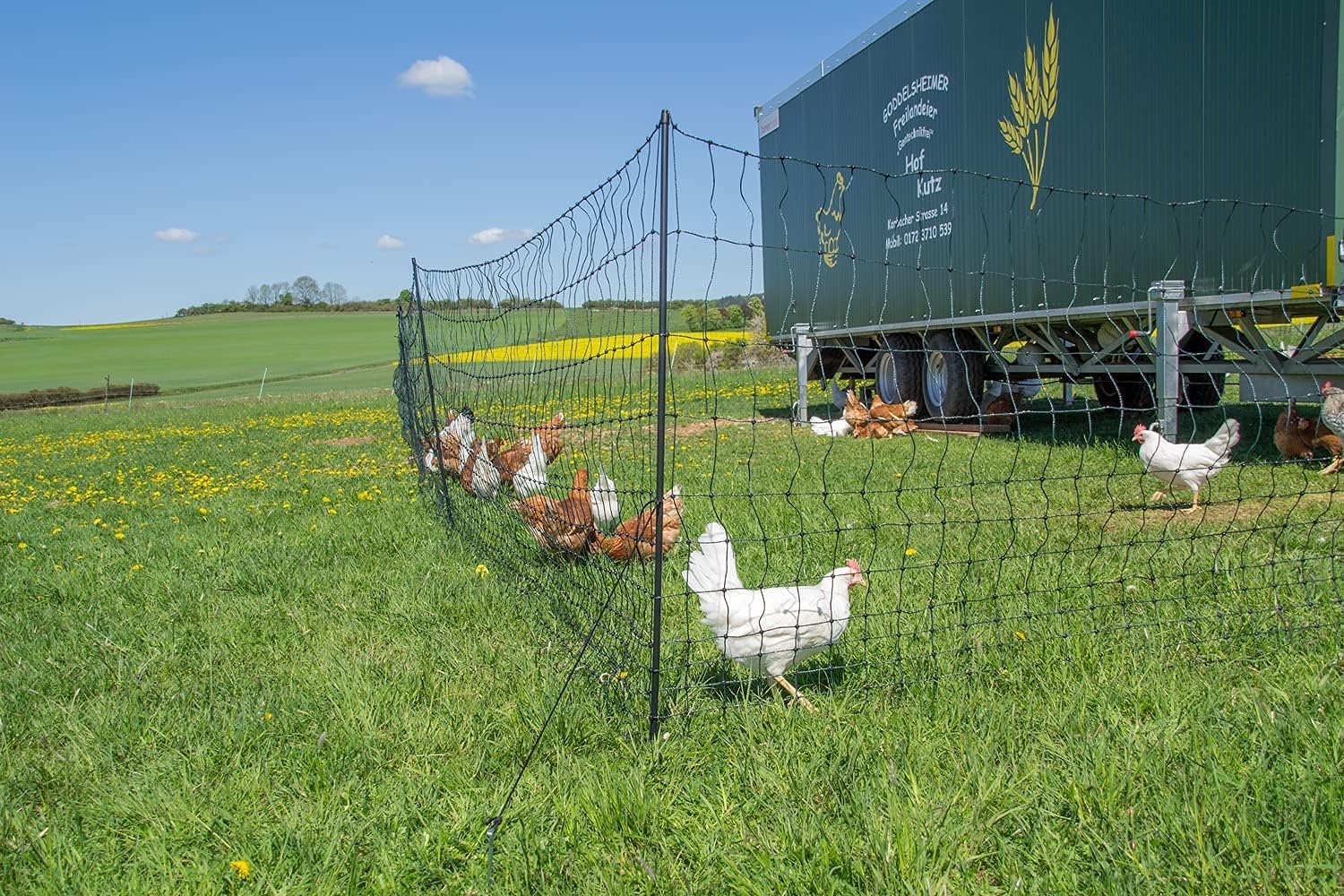 Recinto Per Pollame Strong Line 110 - 50 M, 110 Cm Alto, 15 Pali In Fibra Di Vetro - Foto 10