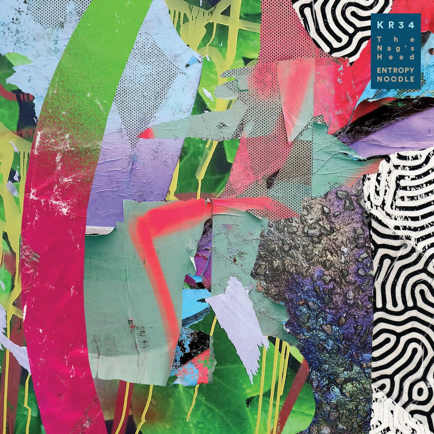 ENTROPY NOODLE [VINYL]