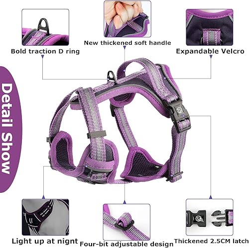 Miniatura 5 de Perro Harmess (morado, XS)