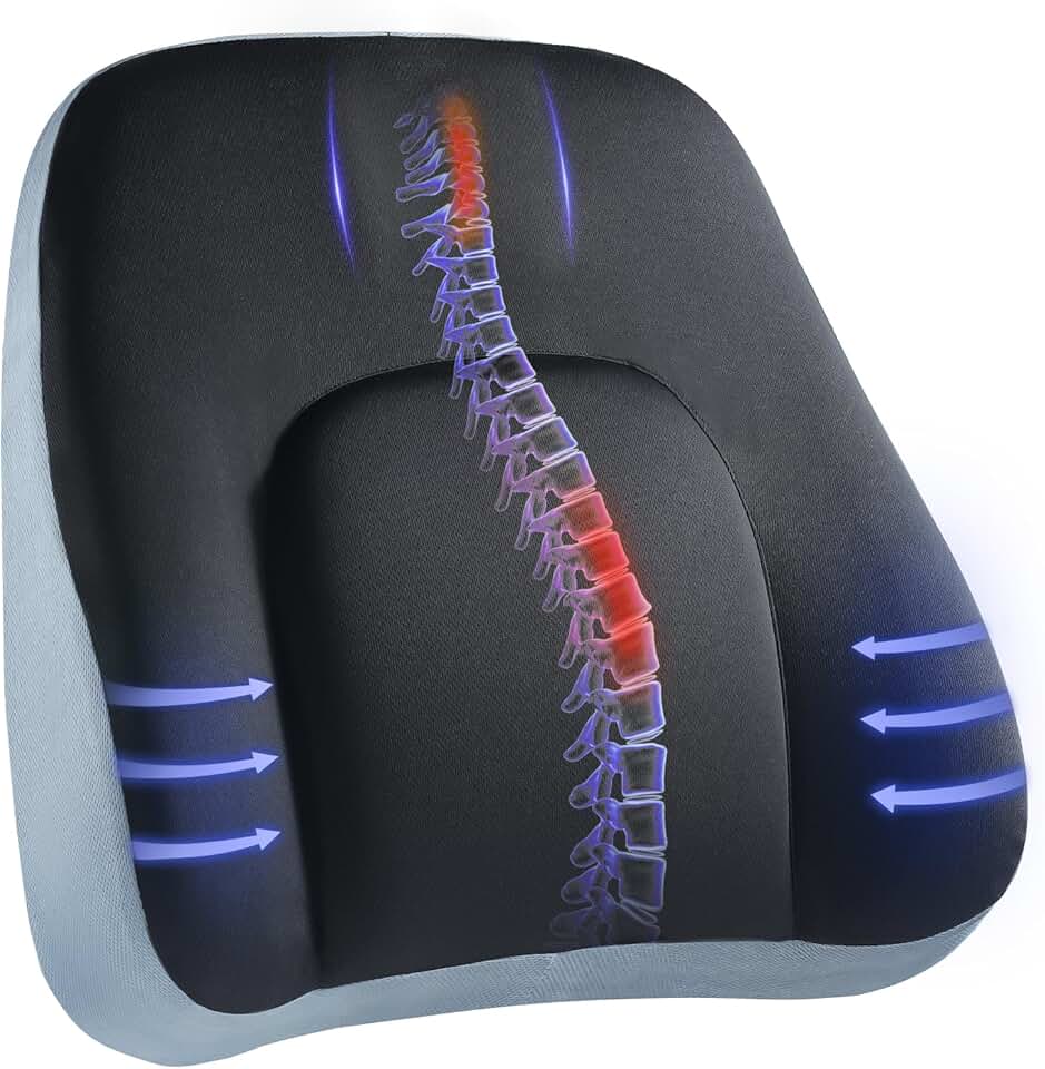 HUANUO Lumbar Support Pillow for Office Chair, Car Back Support Pillow, Memory Foam Back Cushion with Double Adjustable Straps, Er