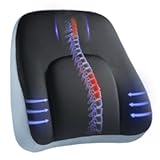 HUANUO Lumbar Support Pillow for Office Chair, Car Back Support Pillow, Memory Foam Back Cushion with Double Adjustable Straps, Ergonomic Posture Corrector for Sitting Comfort