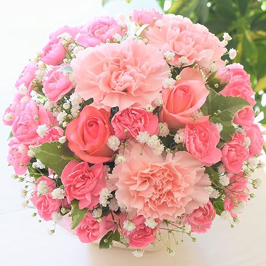 Amazon 花金 母の日予約 5月5日 8日の間でお届けします 高品質フラワーギフト ぴんく 高岡花金オリジナル 生花フラワーアレンジメント 花 アレンジ 誕生日 還暦 記念日 母の日 父の日 クリスマス 発表会 プレゼント ギフト 沖縄 その離島へはお届け Amazon 花金 母の日予約 5月5日 8日の間でお届けします 高品質フラワーギフト ぴんく 高岡花金オリジナル 生花フラワーアレンジメント 花 アレンジ 誕生日 還暦 記念日 母の日 父の日 クリスマス 発表会 プレゼント ギフト 沖縄 その離島へはお届け