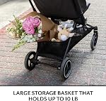 Evenflo Hummingbird Ultra-Lightweight Carbon Fiber Stroller - Calypte Pink