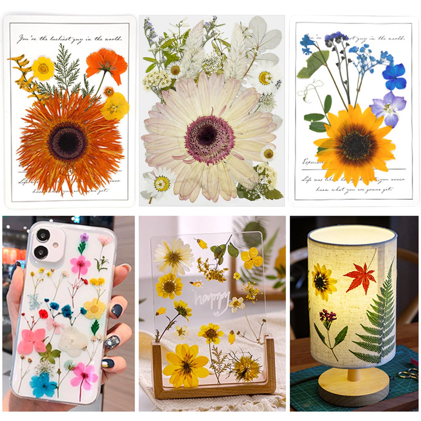 Tłoczone kwiaty, naturalne, suszone kwiaty, różowe kwiaty z żywicy, prawdziwe prasowane kwiaty do scrapbookingu, DIY, rzemiosła artystycznego, żywicy epoksydowej, artykuły jubilerskie, 44 szt