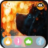 inteligencia animal perros y gatos 🌙 Ideal para dormir, meditar, estudiar o leer