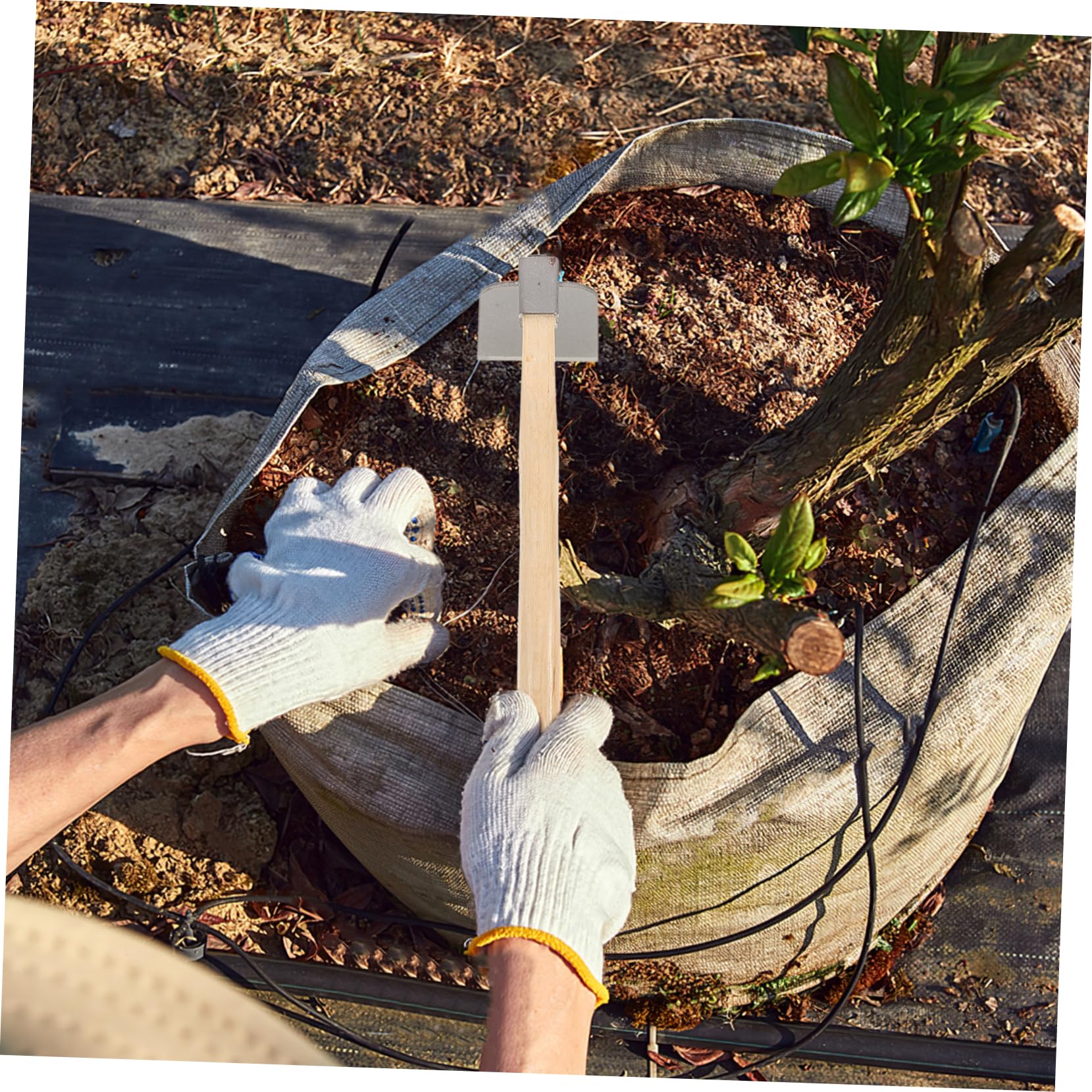 Didiseaon 2 Azadas Desherbadoras de Jardín Mango de Madera, Acero, para Aflojar el Suelo, Cavar y Plantar en Jardinería