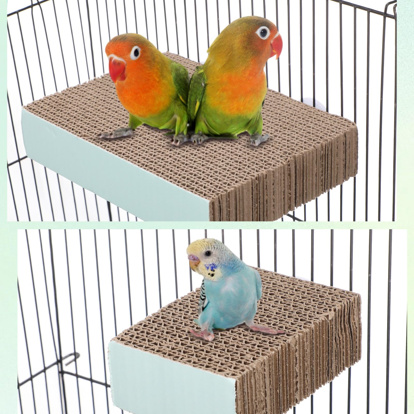 Nuanchu Lot de 6 perchoirs à oiseaux en carton pour perroquet, plate-forme de meulage de pattes d'oiseaux, cage à perroquet, moineau, perroquet, perruche, calopsitte, inséparable