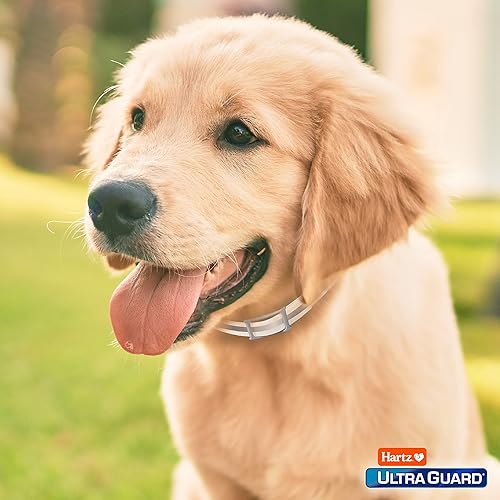 Miniatura 7 de Hartz UltraGuard Plus - Collar reflectante para pulgas y garrapatas naranja para perros y cachorros