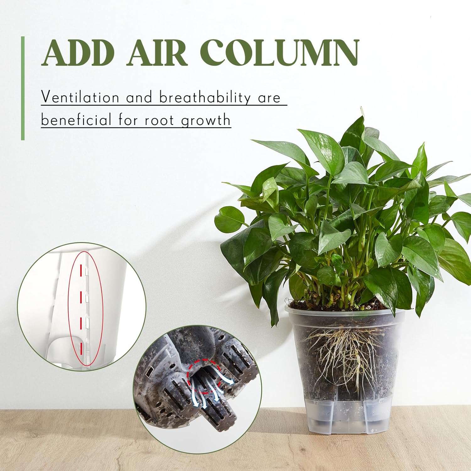 Self Watering Pots for Indoor Plants with Deep Reservoir and High Drainage Holes for Outdoor Plants and Flowers, Bare Root Planter(4.72'', 5.91'', 7.09'',Clear,9 Pcs) - Image 4