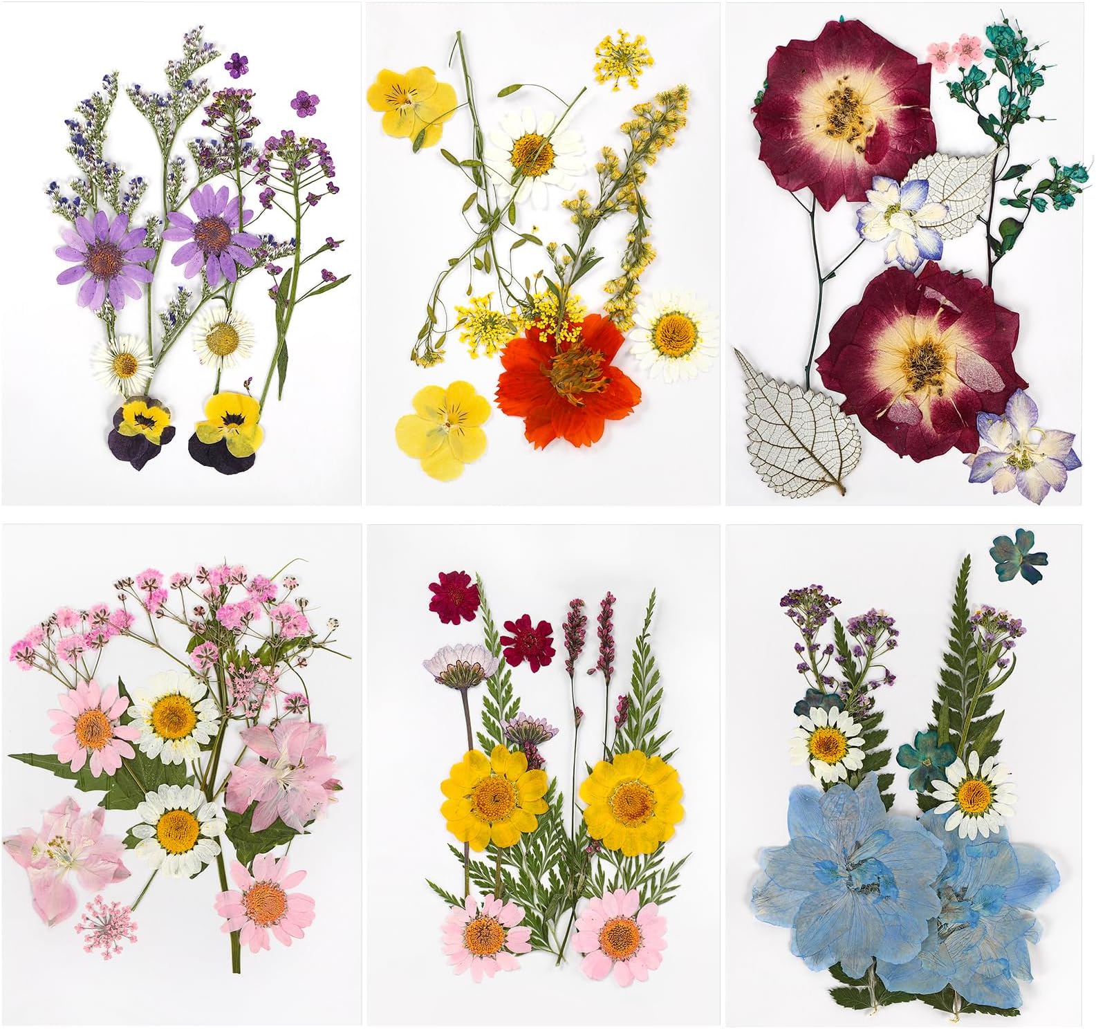 Getrocknete Blumen Aufkleben