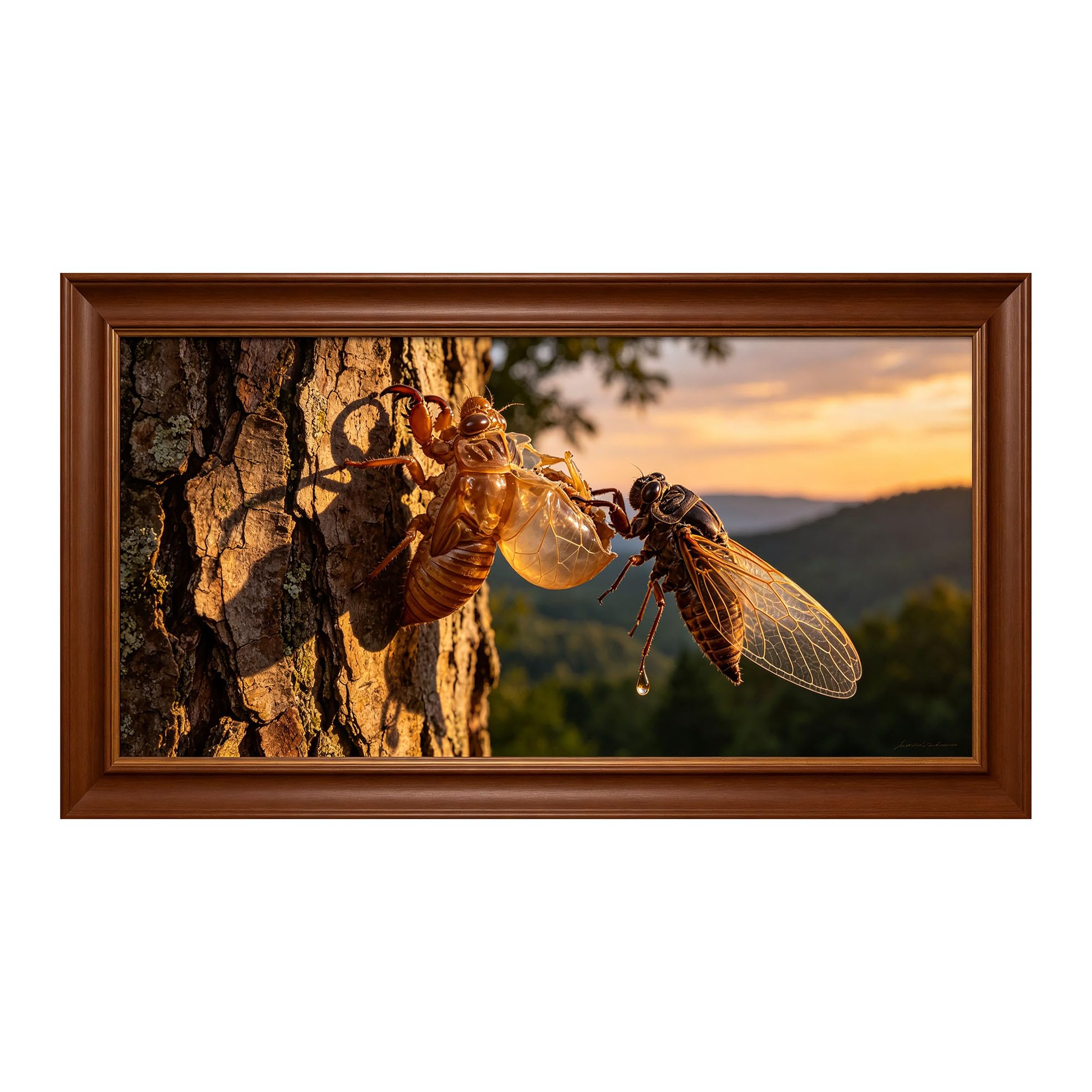 Yzpallescene 3D Framed Wall Art 50cm×100cm Cicada Molting Realistic Macro Nature Sunset Large Size SelfAdhesive Removable Wall Decor Prints Artwork for Living Room Bedroom Office