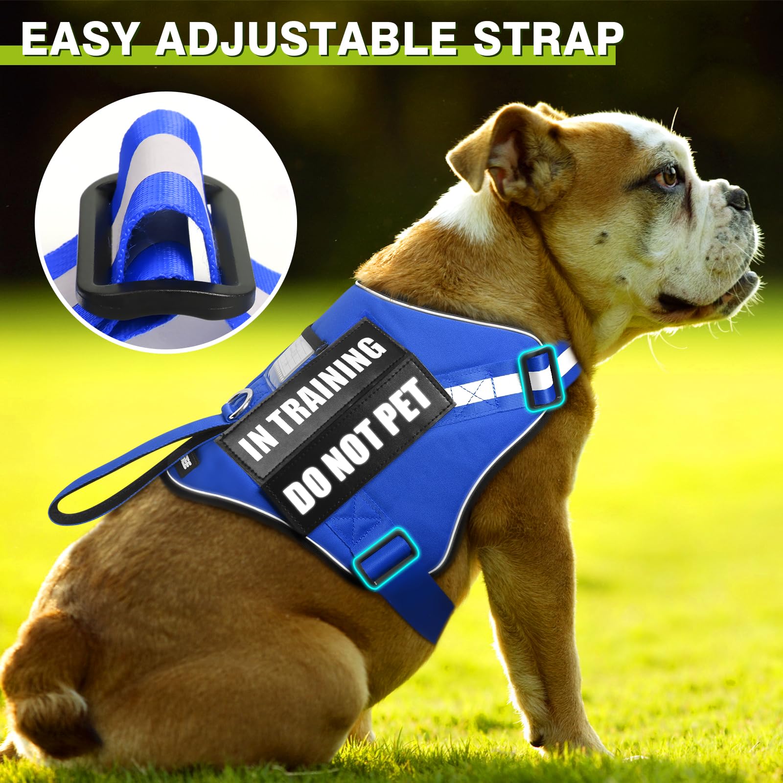 Service Hundegeschirr & Leine Set – Trainingsweste Mit 10 Aufnähern, Reflektierend, Für Kleine Bis Große Hunde (Blau, XS)
