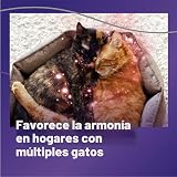 Ver la foto 4