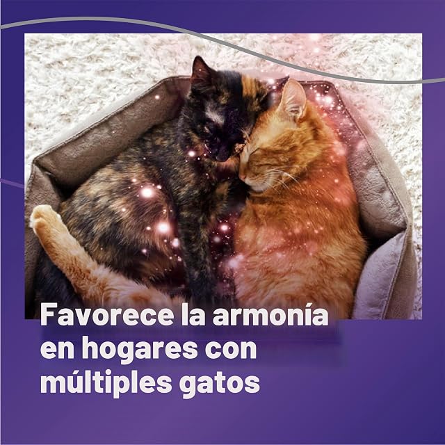 Foto 4 de 8 de FELIWAY Optimum Cat - Difusor de feromonas calmante Mejorado, Kit de Inicio de 30 días (48 ml)