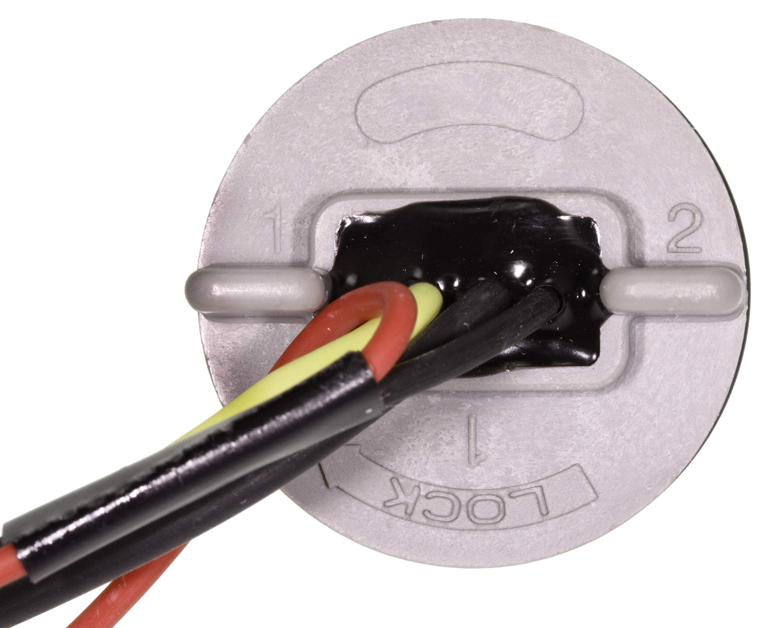 Amazon.com: WVE by NTK 1P2175 Back Up Light Wiring Harness 