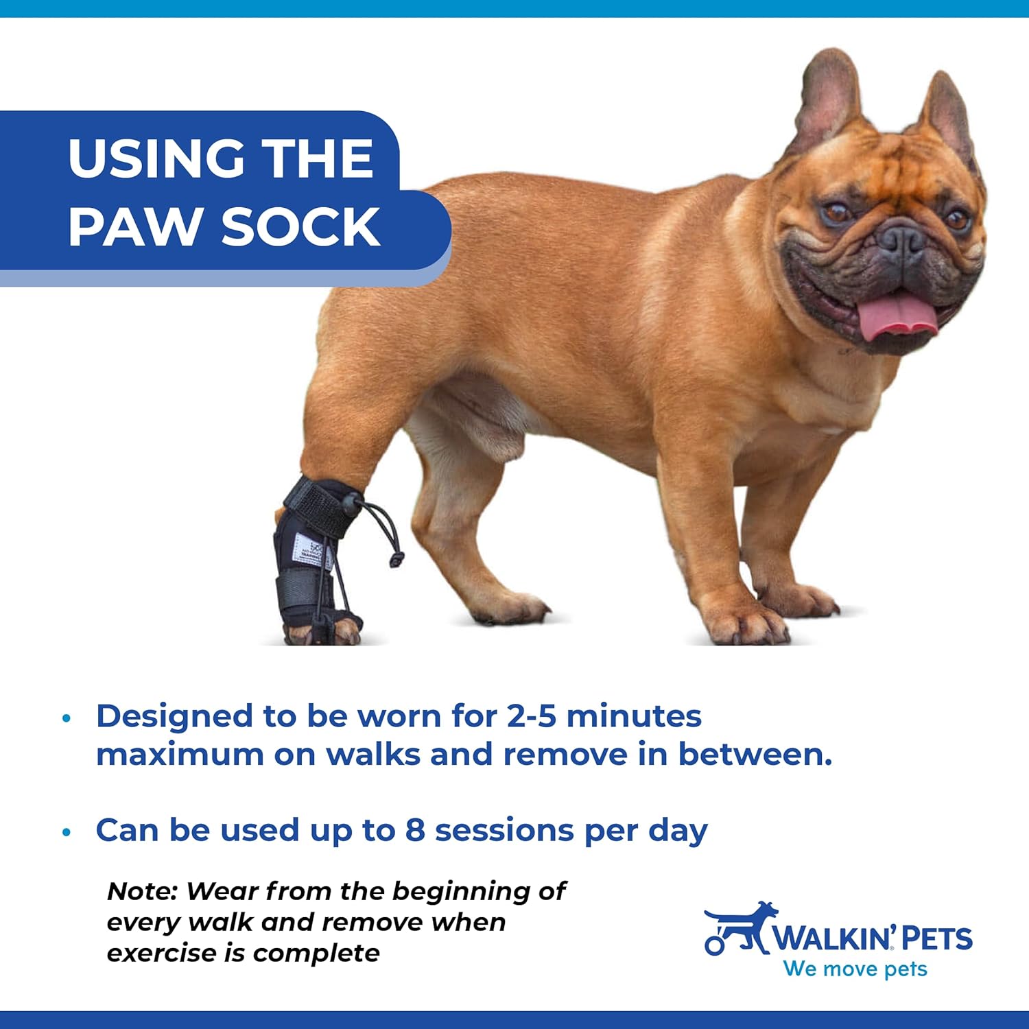 Walkin' Pets Rear No-Knuckling Training Socks for Dogs - 6-8 Inches, 60-80 lbs