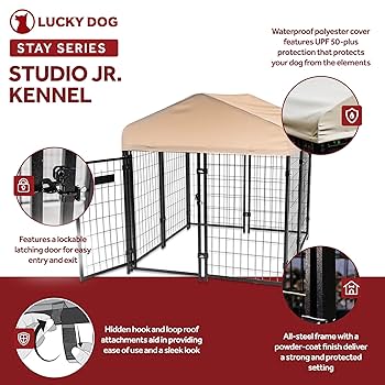 Amazon.com: Lucky Dog Stay Series 4 by 4 by 4.3 Feet Studio