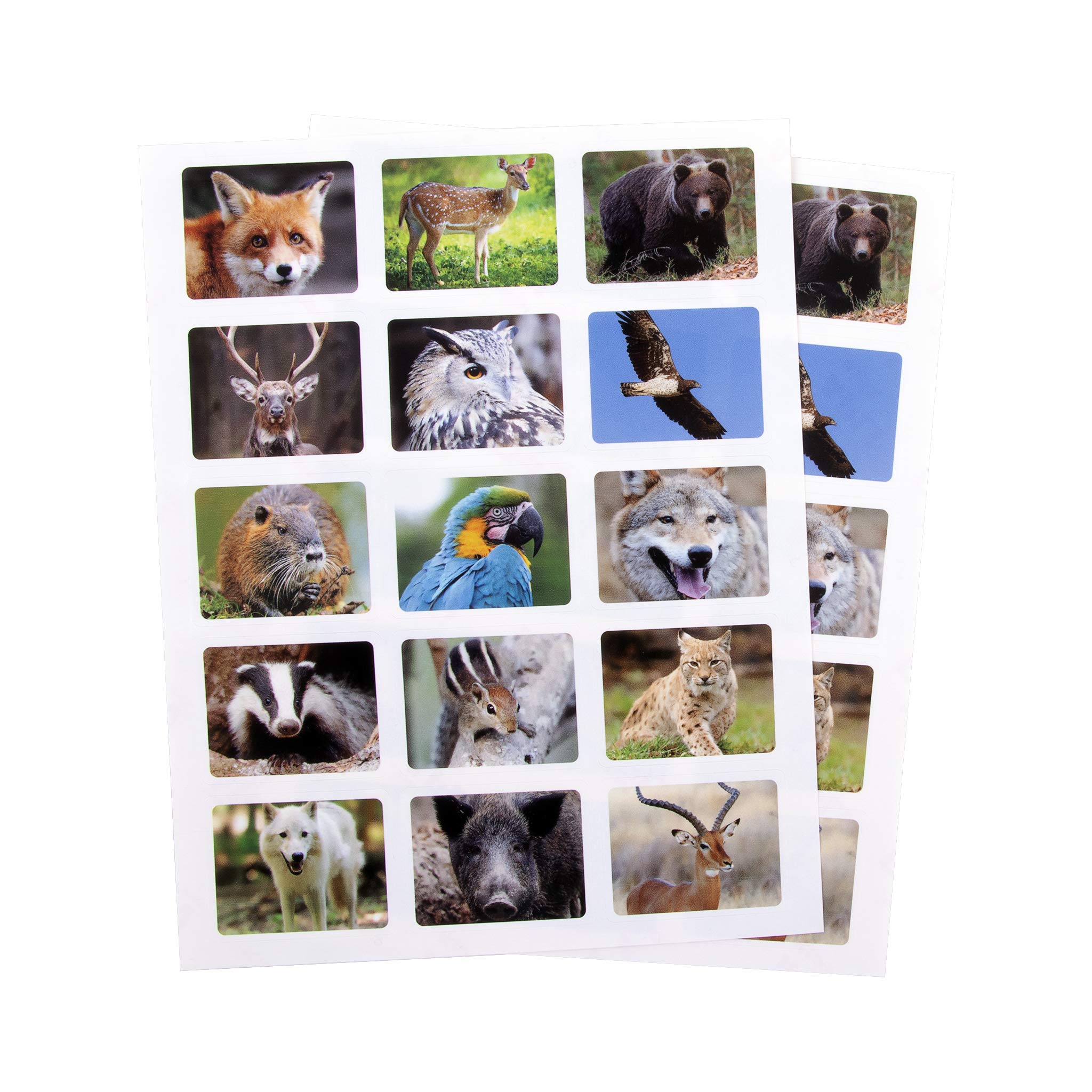 APLI Kids Adesivi Animali Selvaggi - 12 Fogli, 204 Gommini, Forme Di Elefante, Leone, Giraffa E Altri, Per Bambini