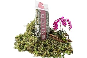 BYHER Artificial Green Moss for Crafts and Potted Plants