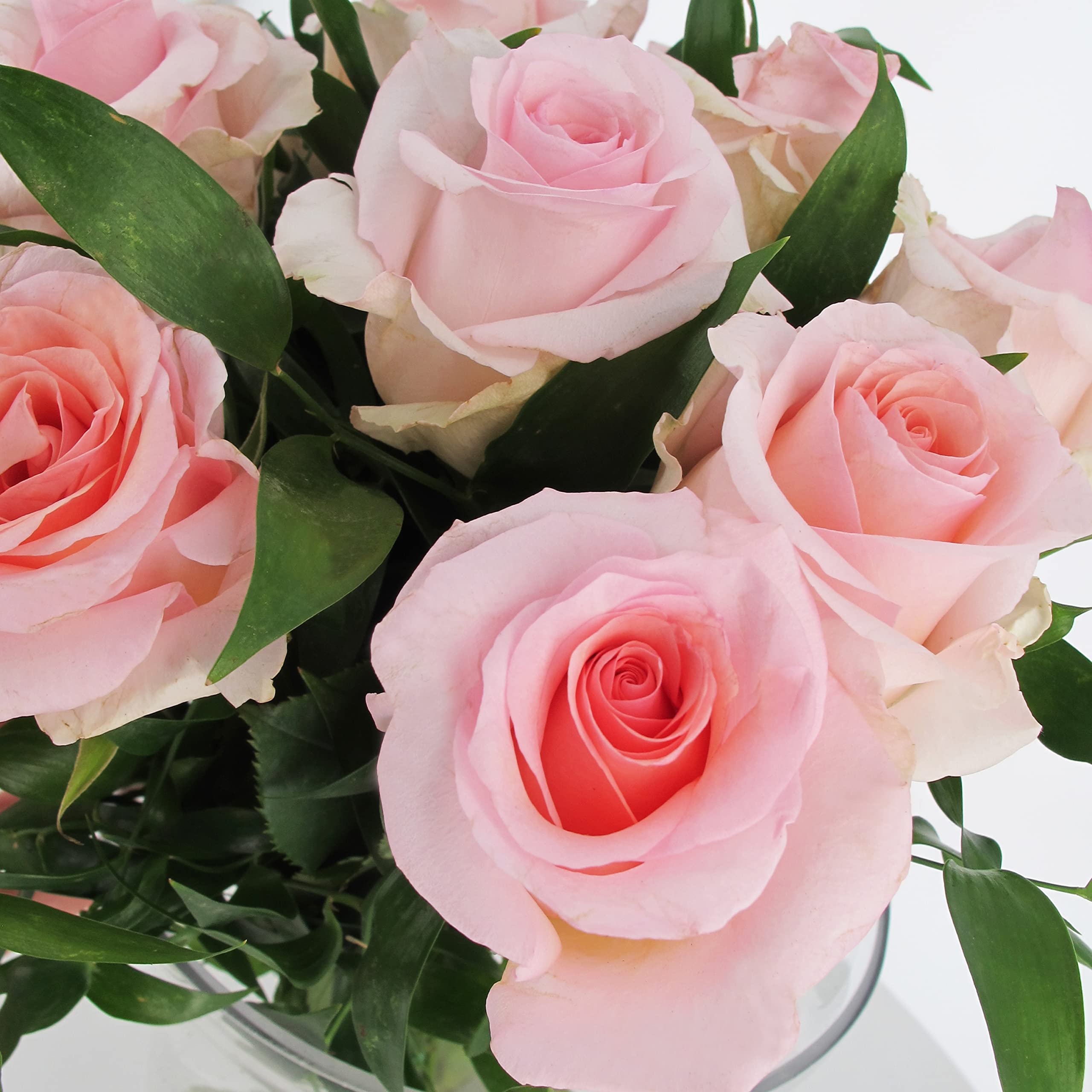 KENTIS - Bouquet di 12 Rose Rosa a Stelo Lungo 50 cm - Mazzo di Fiori Freschi a Domicilio in Italia - Rose Vere Regalo