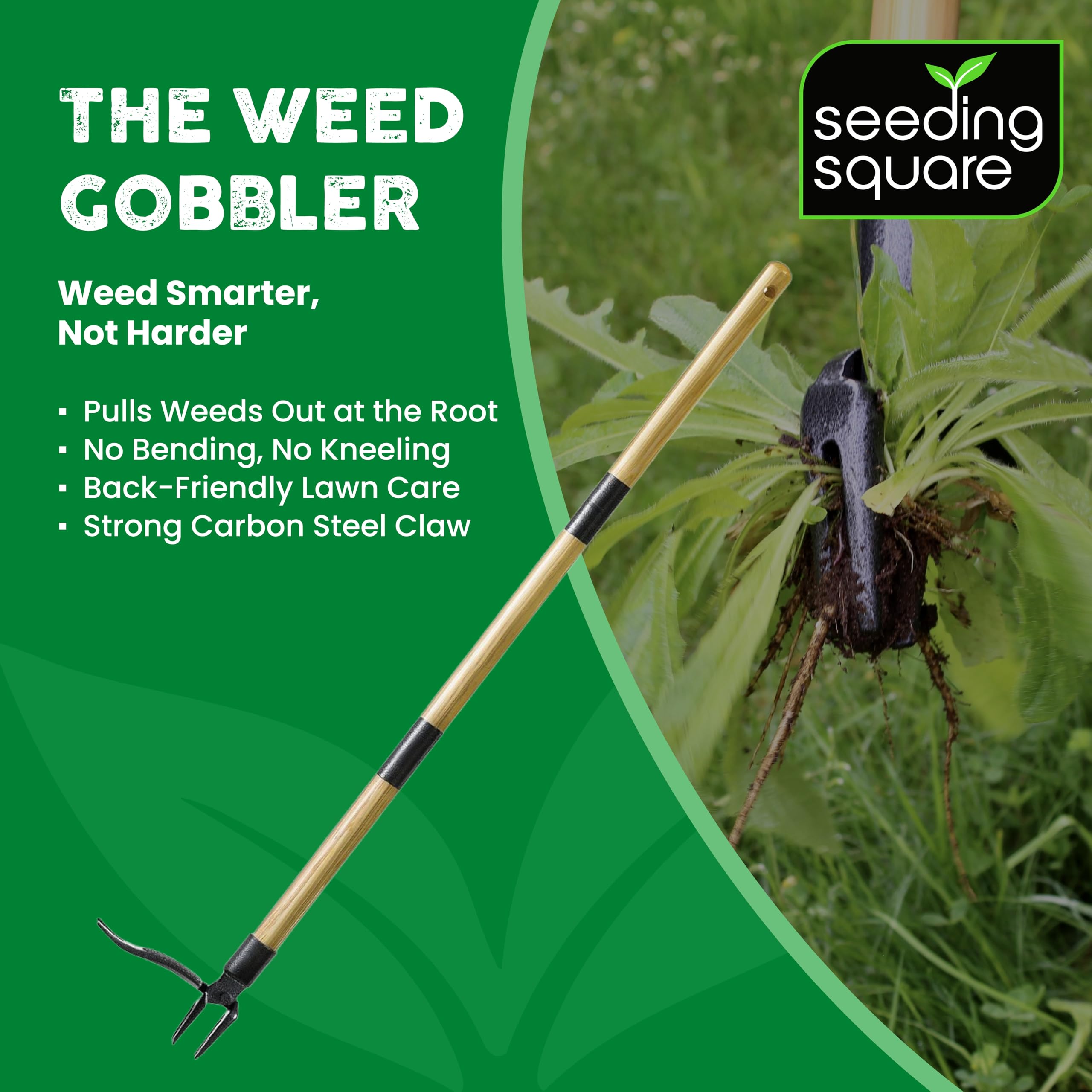 Seeding Square The Weed Gobbler Carbon Steal & Bamboo Stand-Up Unkrautentferner Werkzeug für Löwenzahn und einwurzelige Unkräuter - Ergonomischer Rasenjäter für rückenschonende Unkrautentfernung