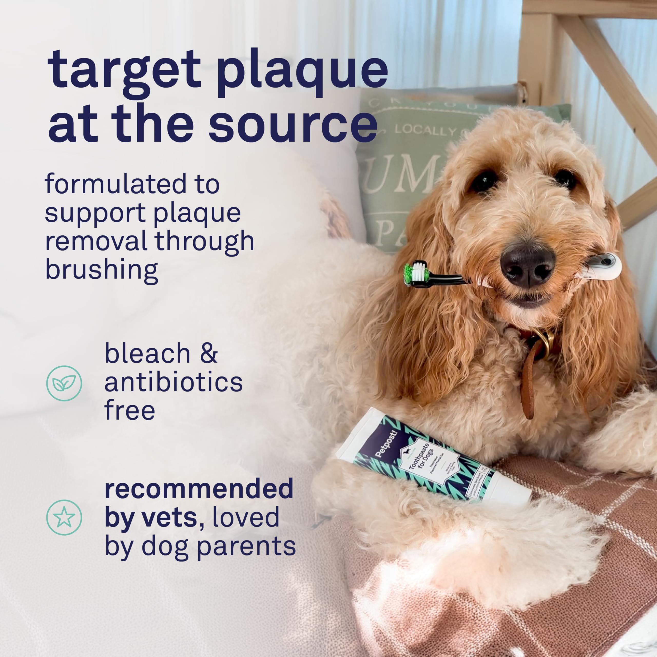 Petpost | Toothpaste for Dogs - Coconut Oil and Baking Soda Based Dental Gel That Naturally Eliminates Bad Breath - Dirt, Gunk, and Tooth Buildup Gone - Mint Flavor 4 oz. - image 4