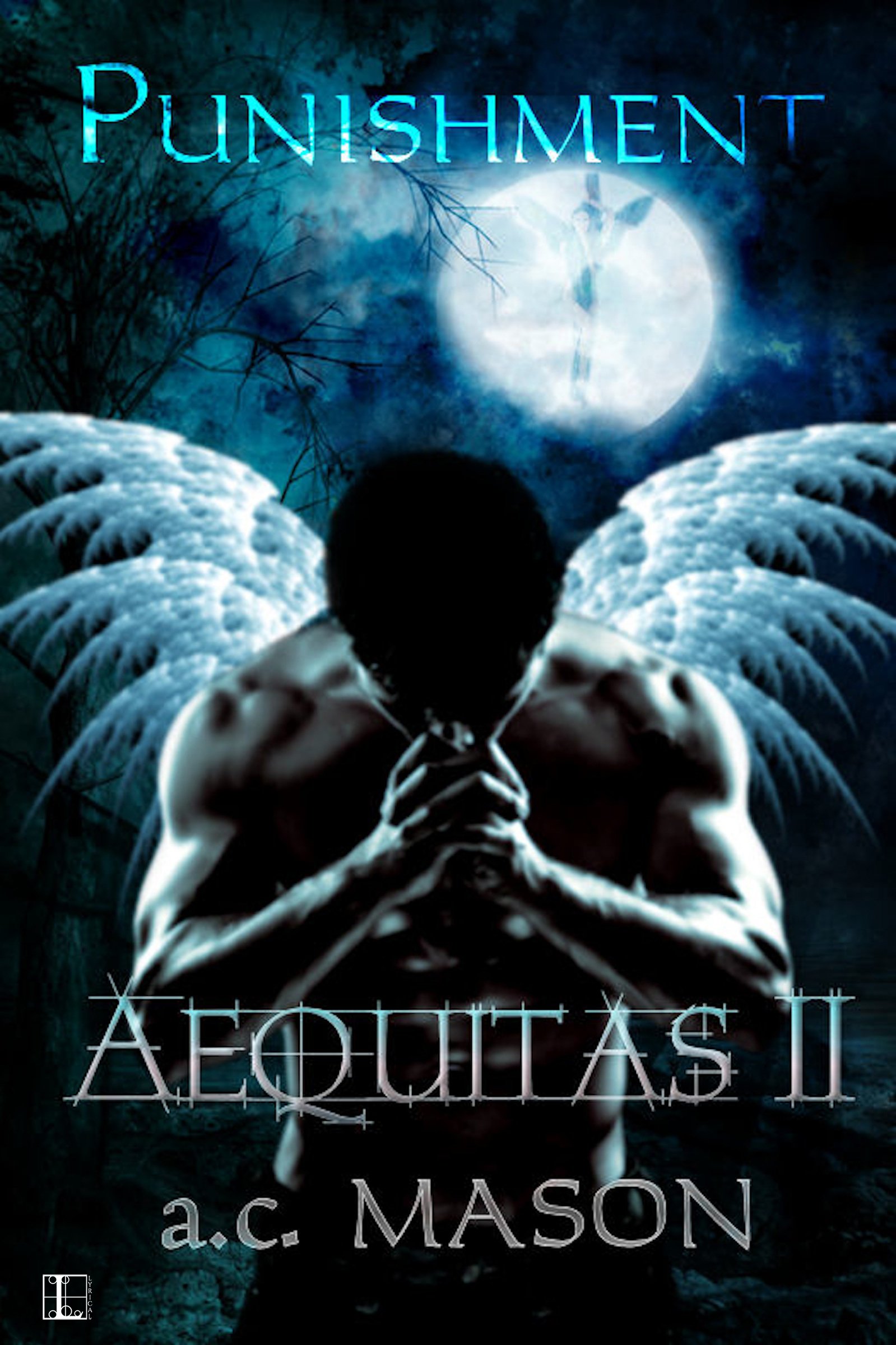 Buy Aequitas II Punishment — BookShops.in