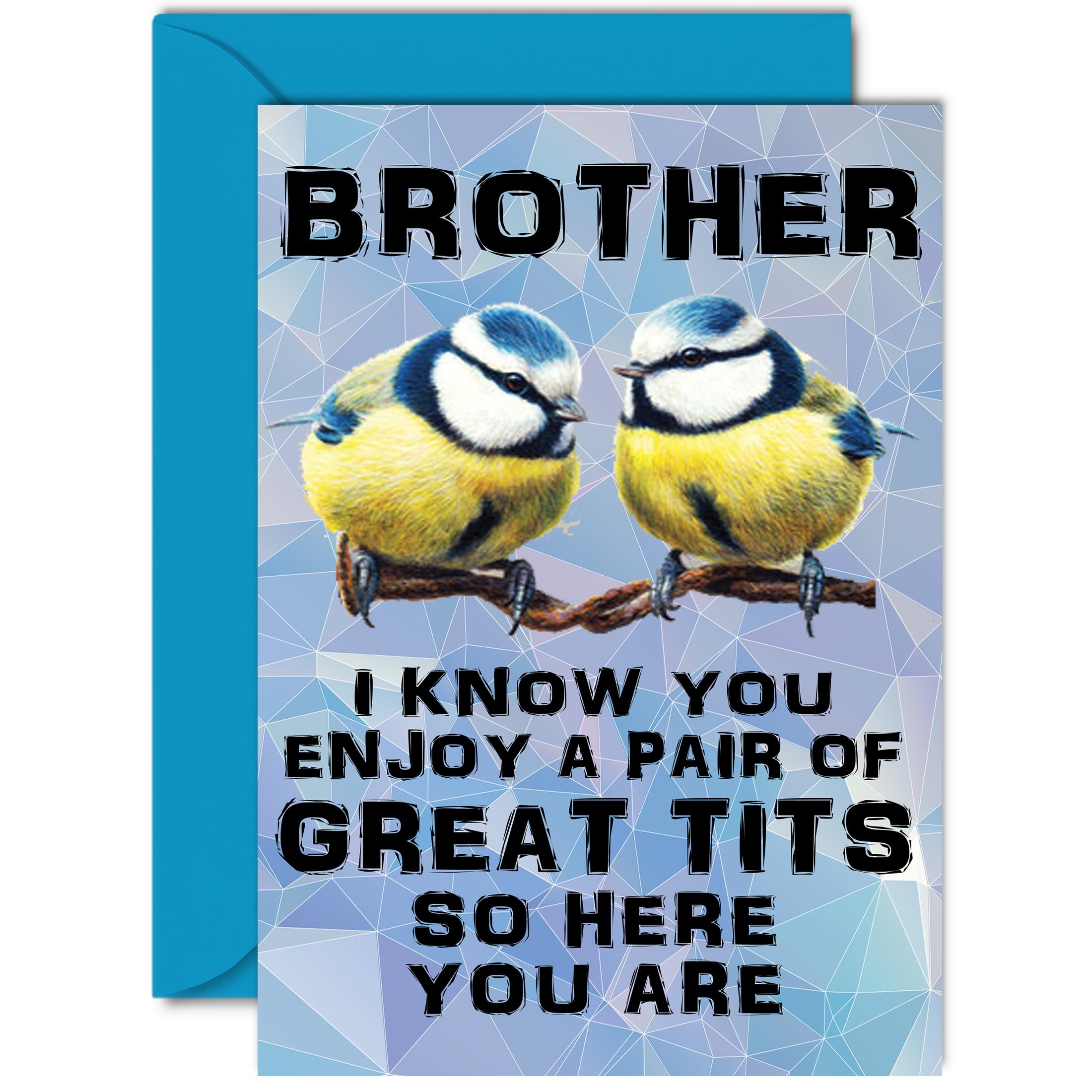 Funny Birthday Cards for Brother - Great Pair - Joke Rude Birthday Card for Brother from Sister, Humour 18th 21st 25th 30th 40th Bday A5 Sibling Greeting Cards