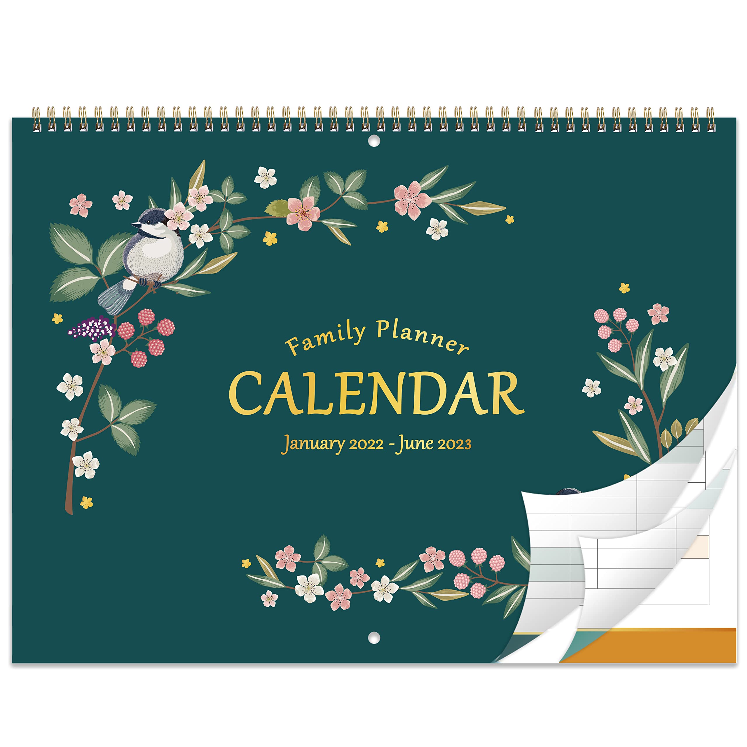 calendar-2022-large-family-calendar-2022-with-18-months-jan-2022