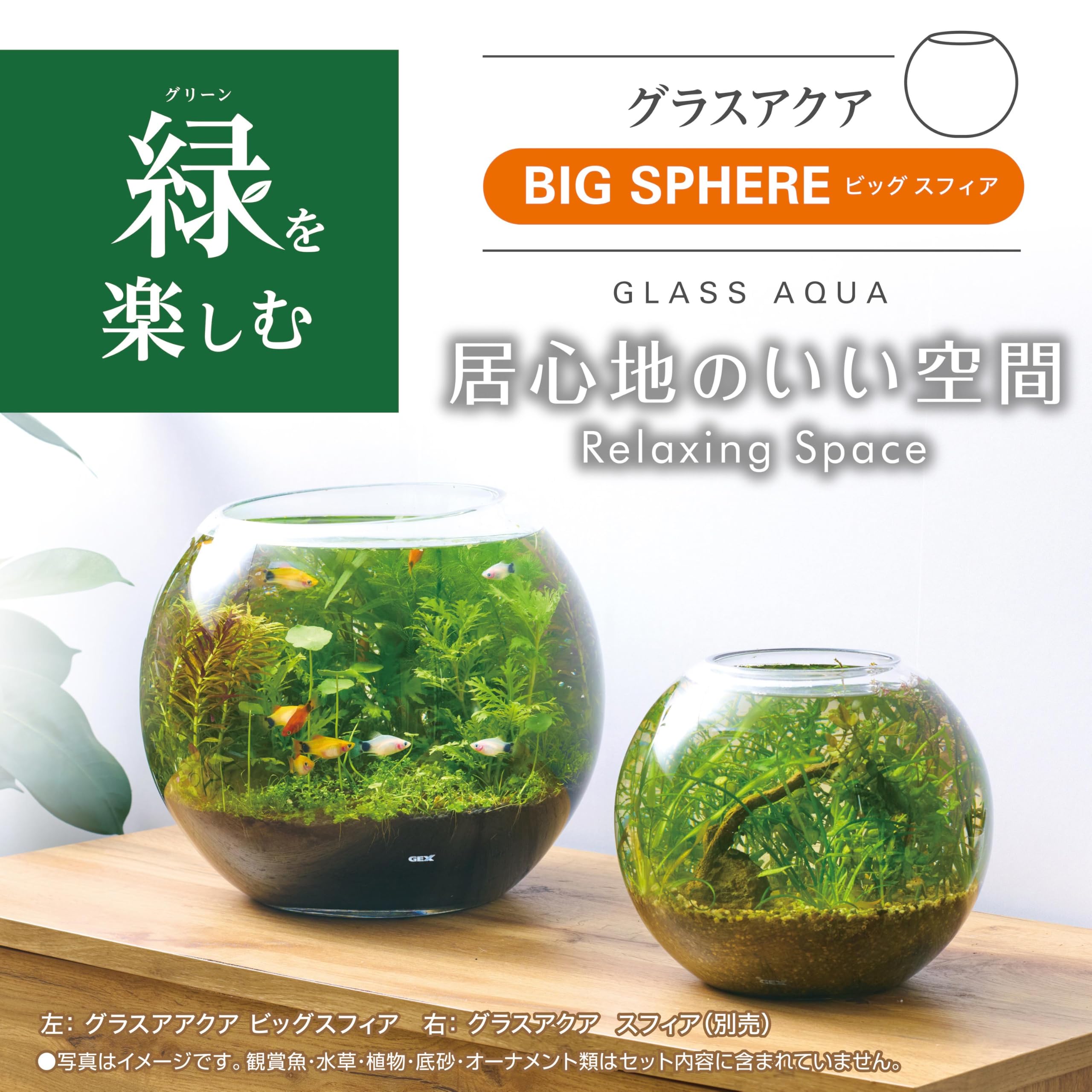 Amazon.co.jp: ジェックス グラスアクア ビッグスフィア アクアリウム