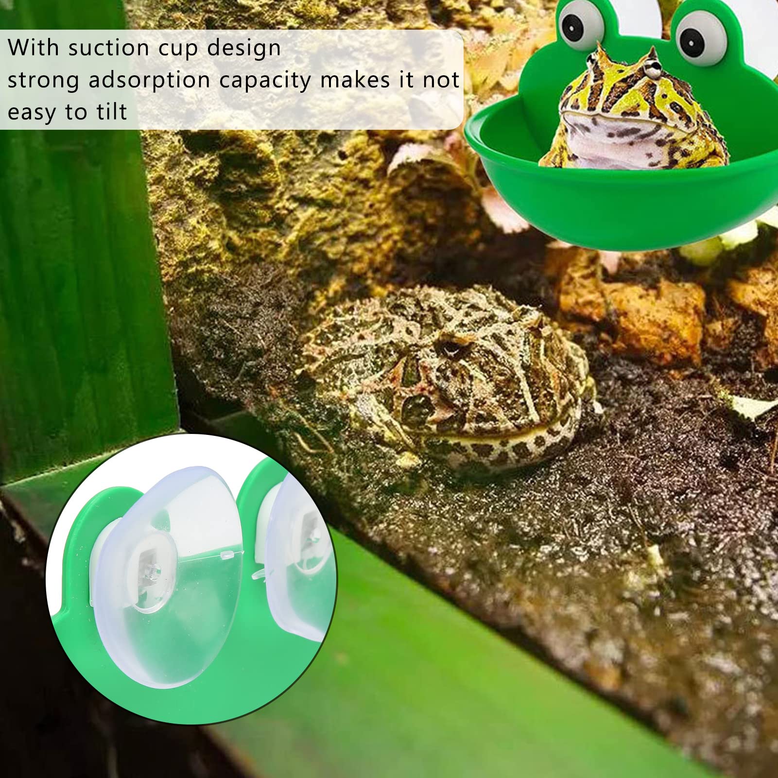 Buy an aquarium? View our products from small to large